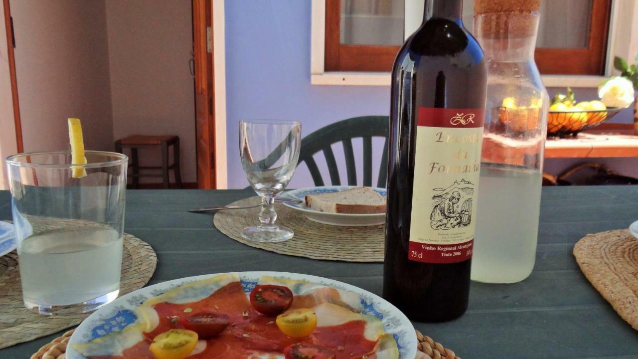 Blue House By Stay In Alentejo 빌라노바데밀폰테스 외부 사진